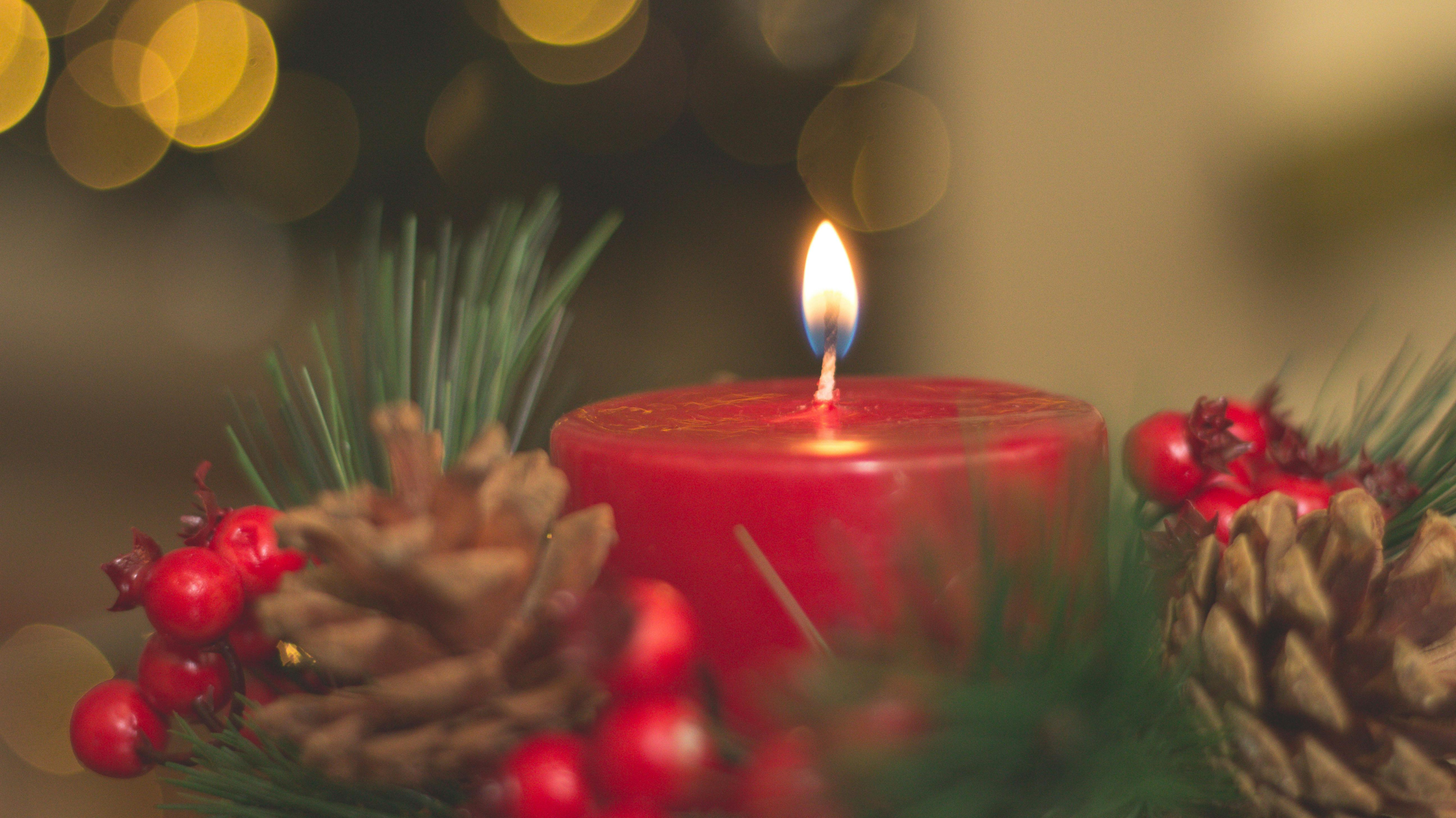 © Nubia Navarro (nubikini)