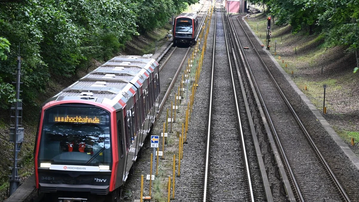 S-Bahn Ringbahn Hattında Aksama: Raylara Ağaç Düştü, © David Hammersen/dpa S-Bahn Ringbahn Hattında Aksama: Raylara Ağaç Düştü, © David Hammersen/dpa