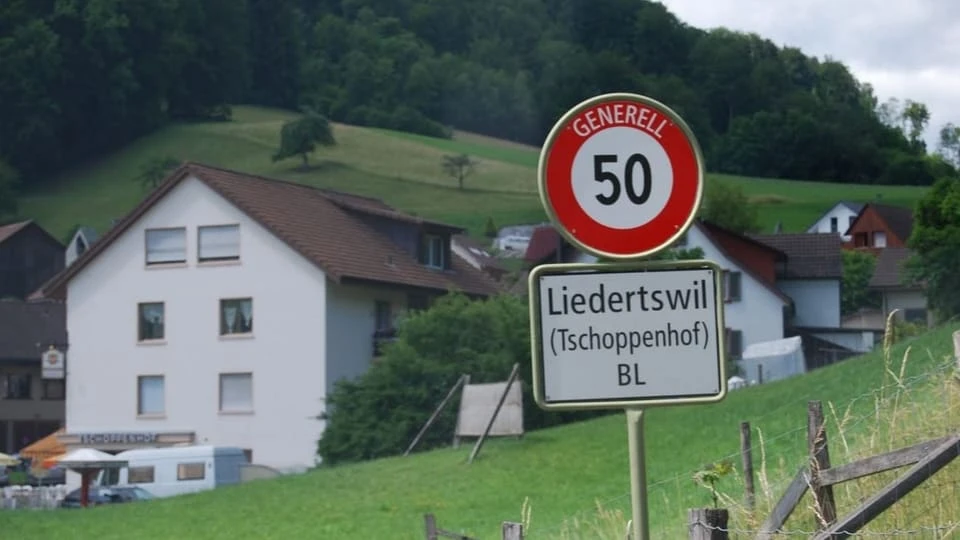 © basilisk © basilisk