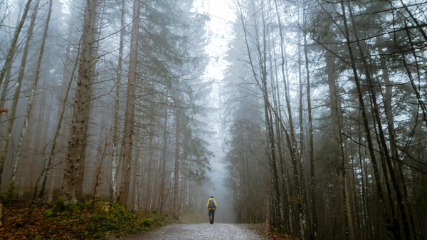 Die Basilisk-Local Heroes NOLA & Lou Martin, © Gabriela Palai