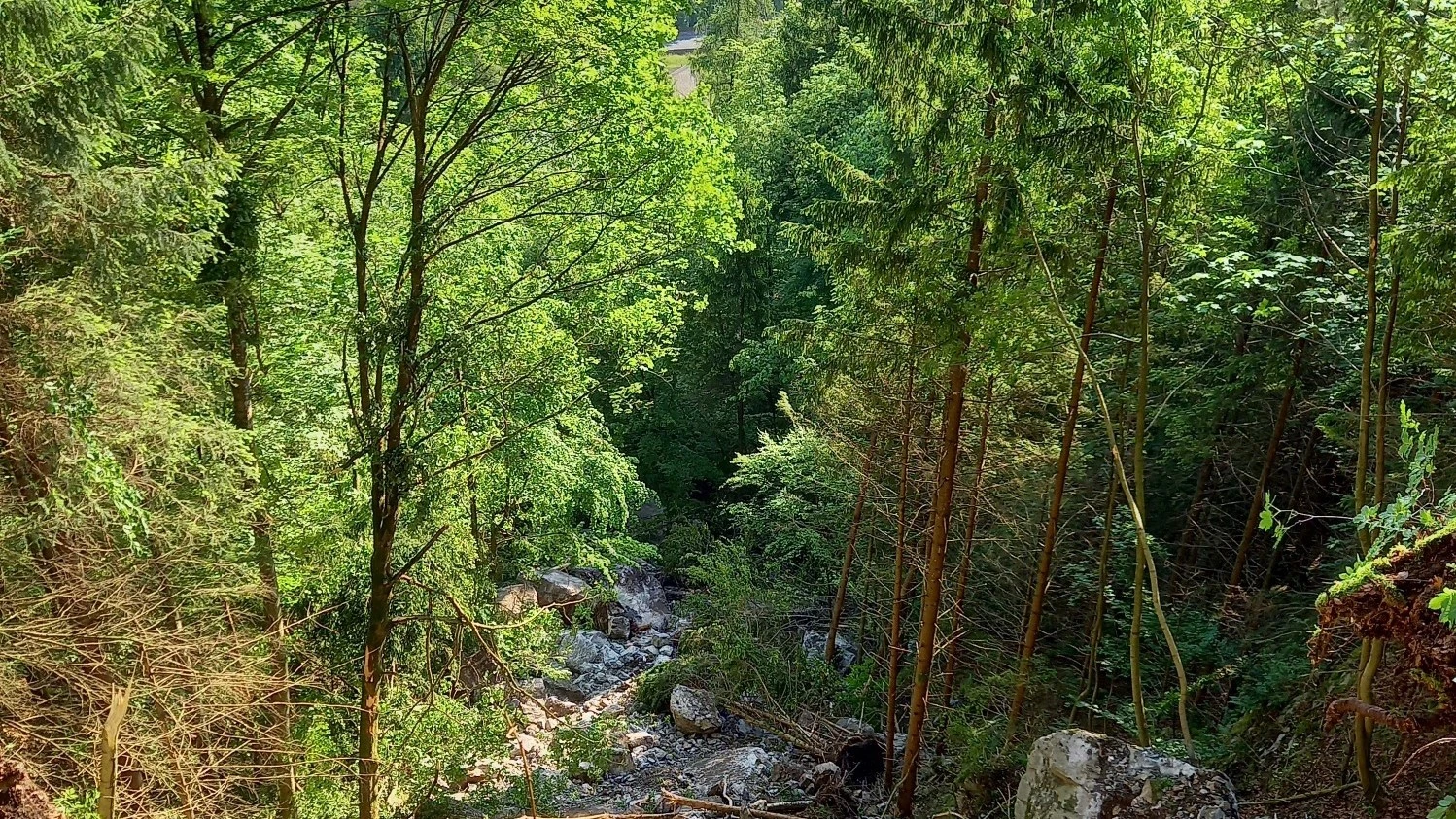 Felssturz in Glarus, © Dominik Hauser, Gemeinde Glarus Felssturz in Glarus, © Dominik Hauser, Gemeinde Glarus
