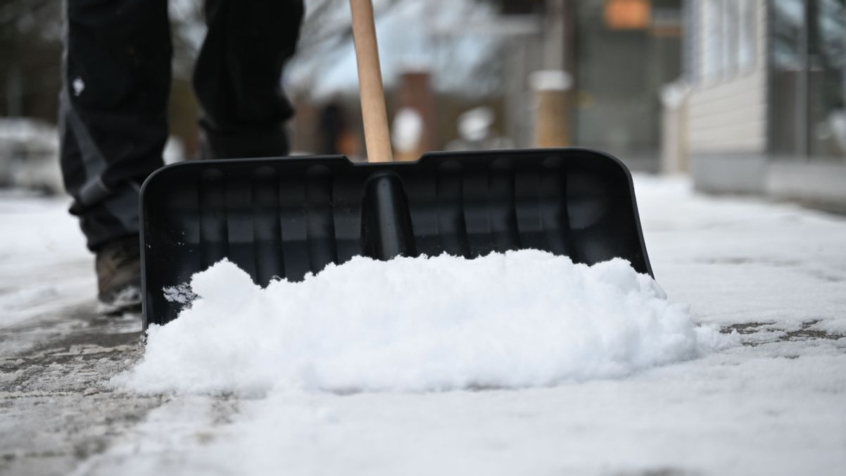 Yeşiller’den Yeni Talep: Kaldırımları da BSR Temizlesin!, © Katharina Kausche/dpa