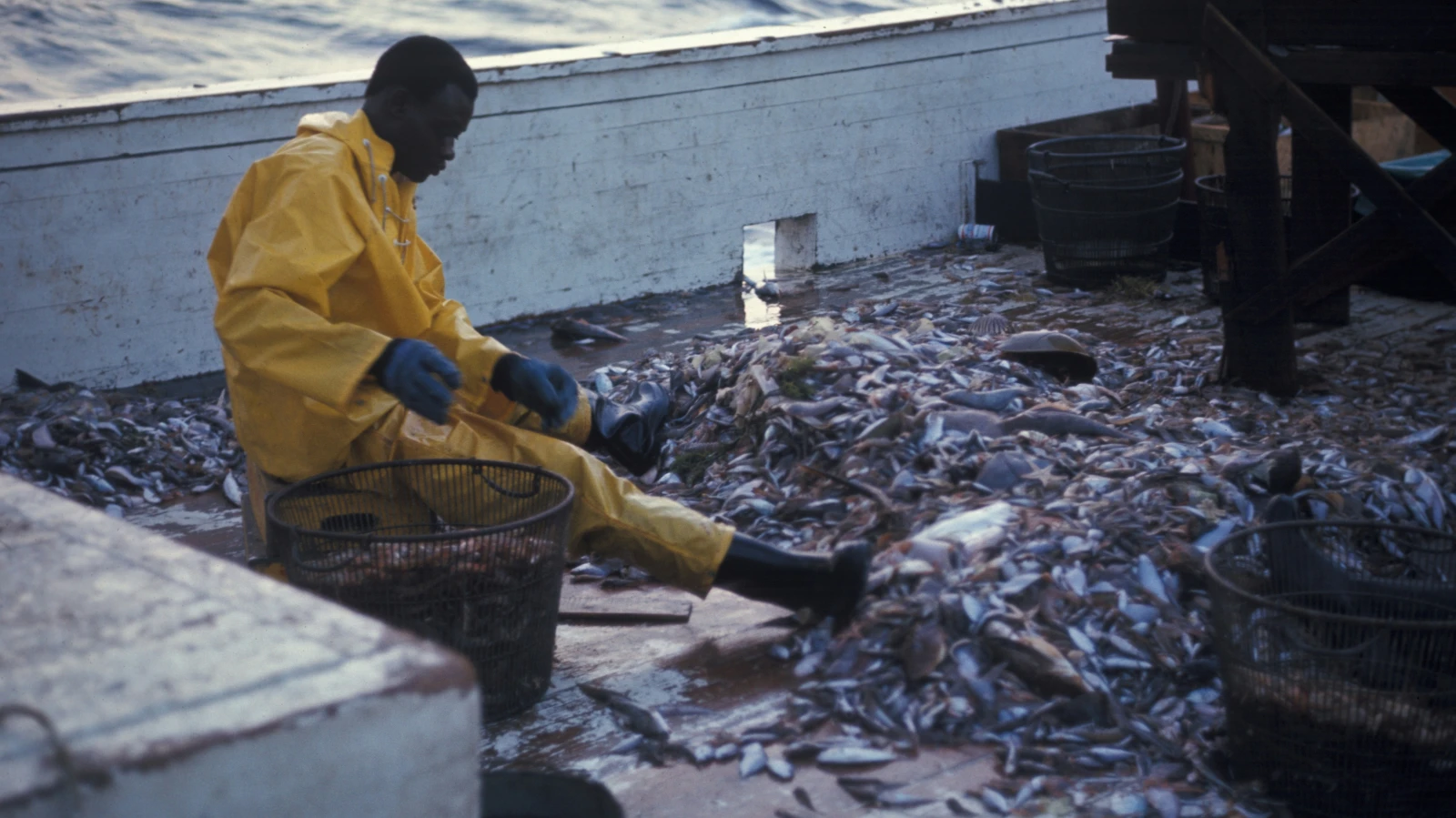 Schweizer Entwicklungshilfe für Eritrea wird gestoppt, © Unsplash/noaa Schweizer Entwicklungshilfe für Eritrea wird gestoppt, © Unsplash/noaa