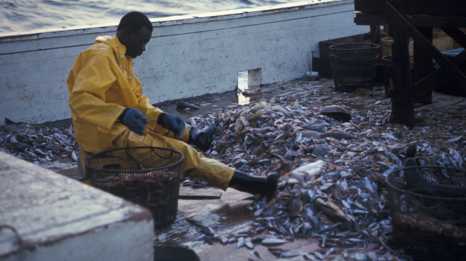 Schweizer Entwicklungshilfe für Eritrea wird gestoppt, © Unsplash/noaa 