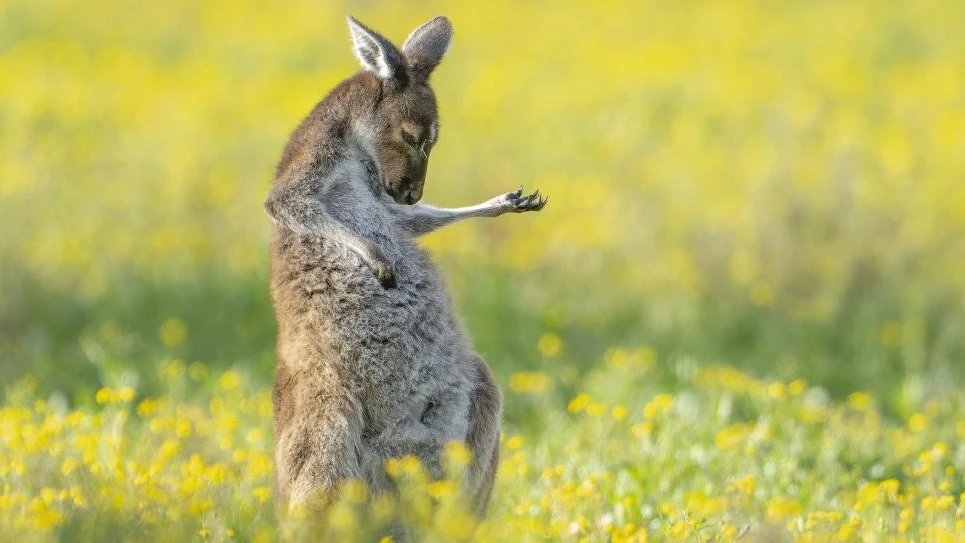 © Jason Moore © Jason Moore