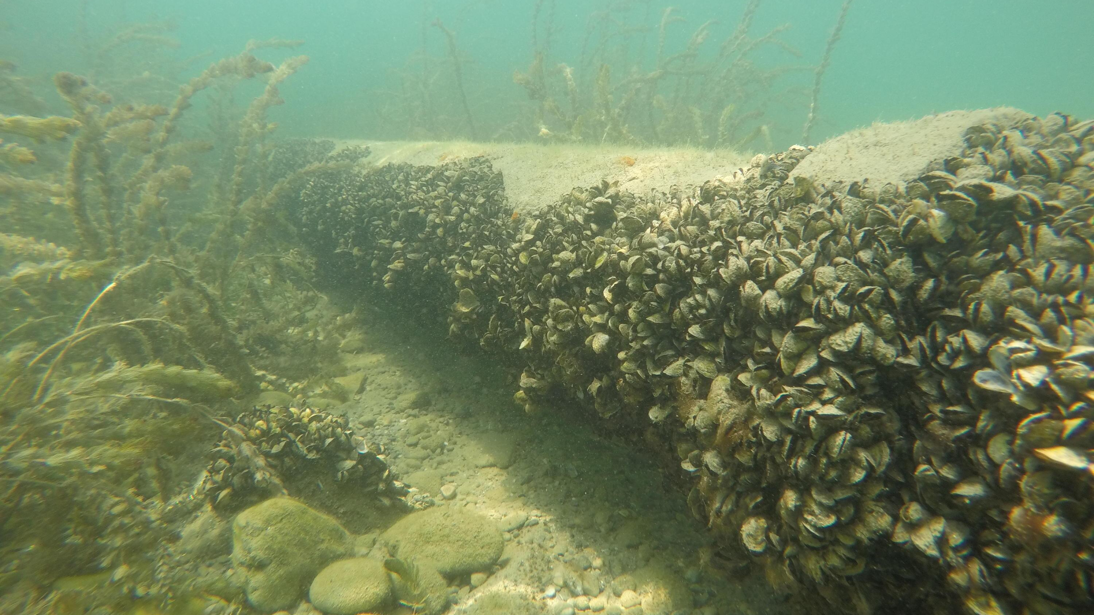 © Eawag, Linda Haltiner