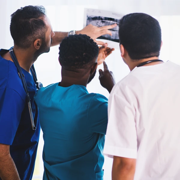 © EVG Kowalievska © EVG Kowalievska