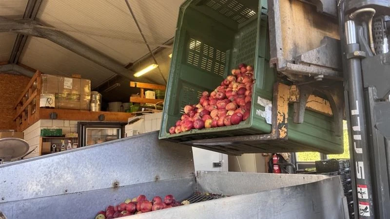 Apfelmost im Baselbiet Apfelmost im Baselbiet