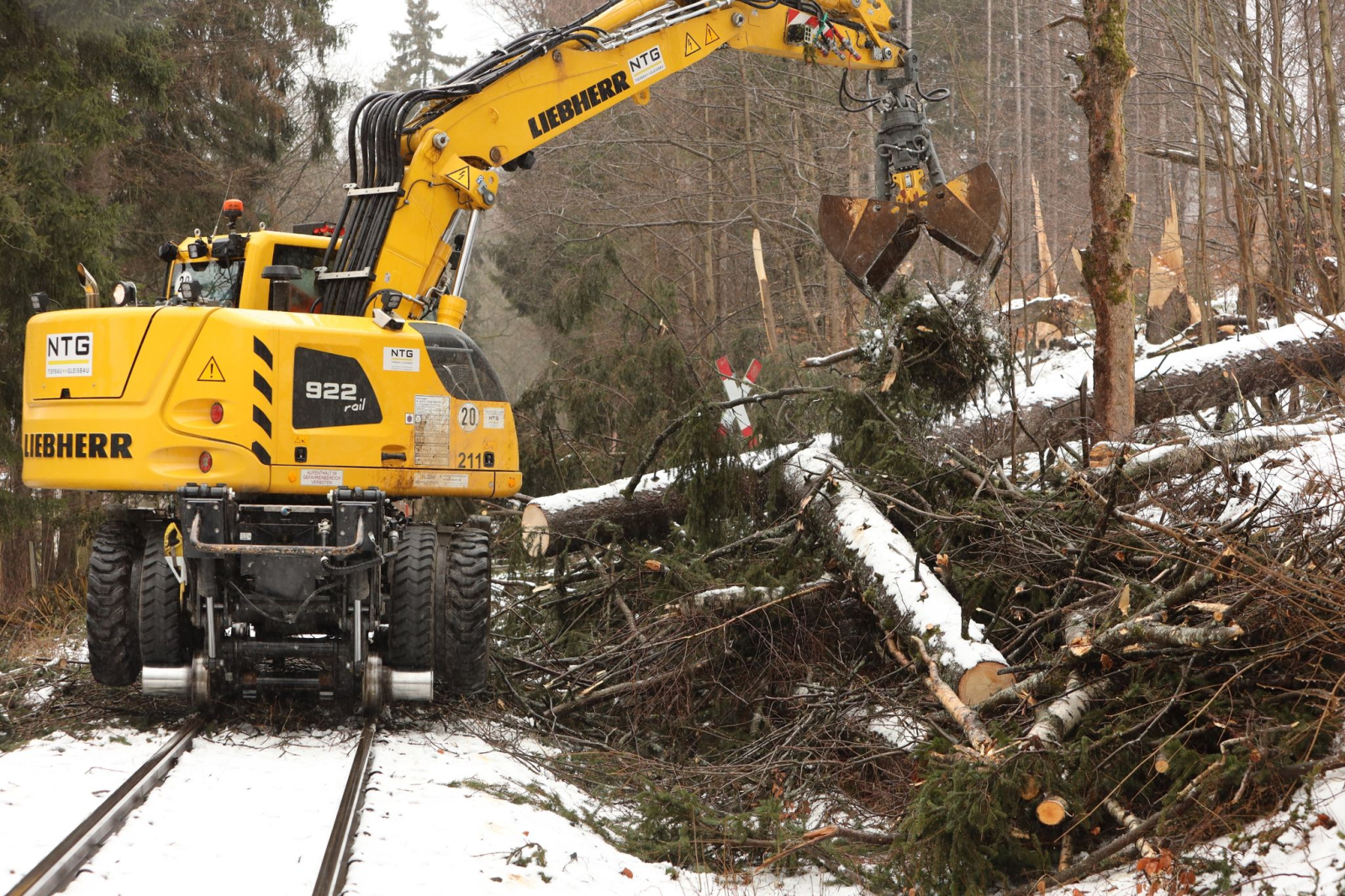 Umgestürzte Bäume liegen auf den Gleisen der Harzer Schmalspurbahnen GmbH HSB.