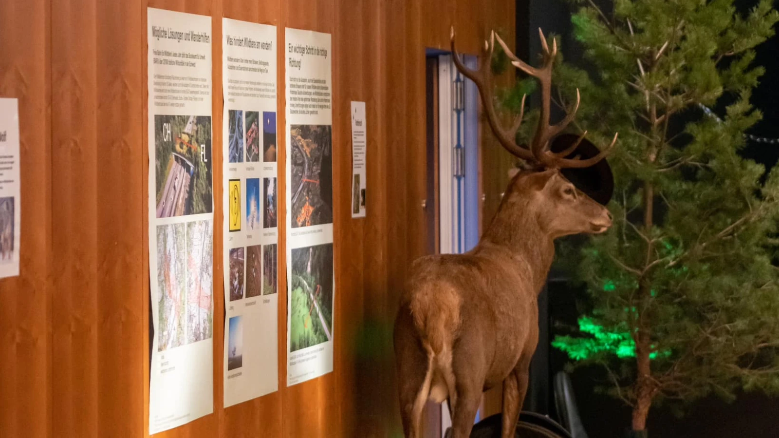 19. Vaduzer Jägermesse, © ZVG_Jagdgesellschaft_Vaduz 19. Vaduzer Jägermesse, © ZVG_Jagdgesellschaft_Vaduz