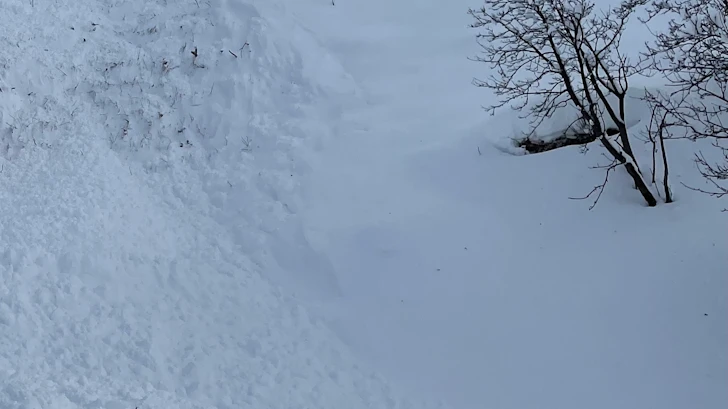 Langläuferinnen in Maloja von Lawine verschüttet, © Kantonspolizei Graubünden Langläuferinnen in Maloja von Lawine verschüttet, © Kantonspolizei Graubünden