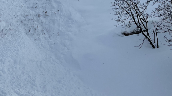 Langläuferinnen in Maloja von Lawine verschüttet, © Kantonspolizei Graubünden