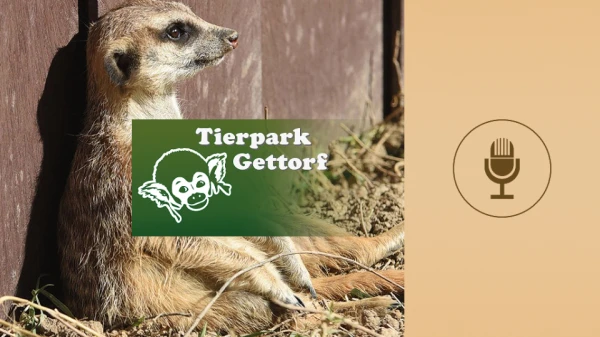 Spot des Monats Februar 2026: "Was machst du am Wochenende?" vom Tierpark Gettorf, © more Marketing Spot des Monats Februar 2026: "Was machst du am Wochenende?" vom Tierpark Gettorf, © more Marketing