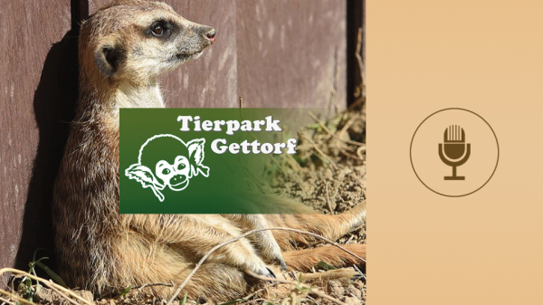 Spot des Monats Februar 2026: "Was machst du am Wochenende?" vom Tierpark Gettorf, © more Marketing