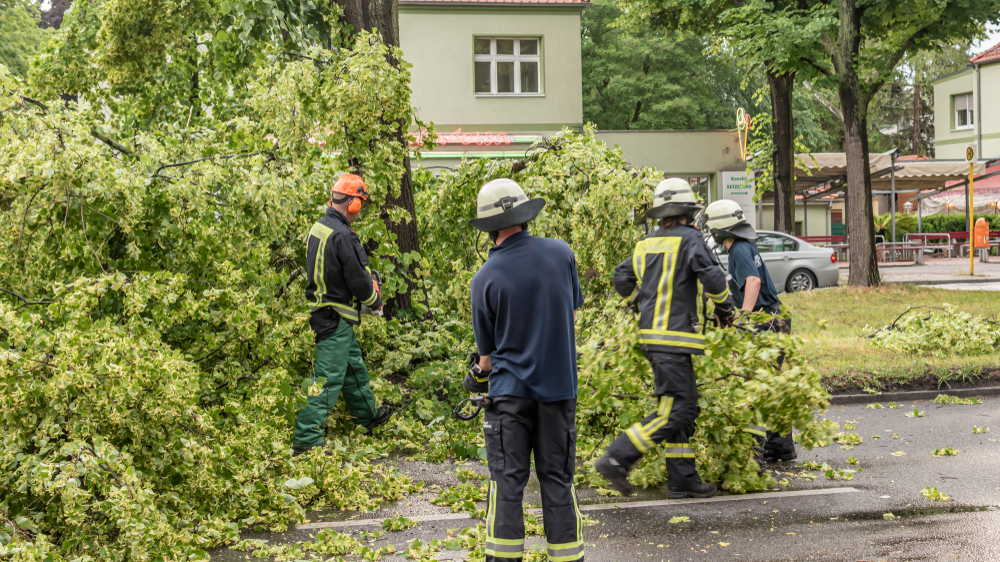 Dikkat. Almanya’da  “Zoltan” fırtınası etkili oluyor!, © Shutterstock