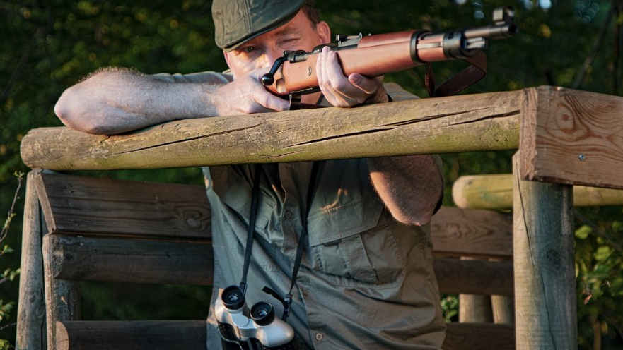 Aus Versehen Luchse abgeschossen, © Symbolbild Pixabay