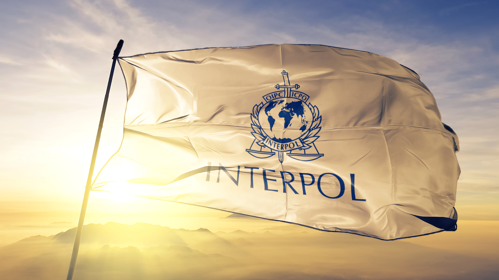 Interpol sieht "Epidemie grenzüberschreitender Kriminalität", © Depositfotos / Aleks Taurus