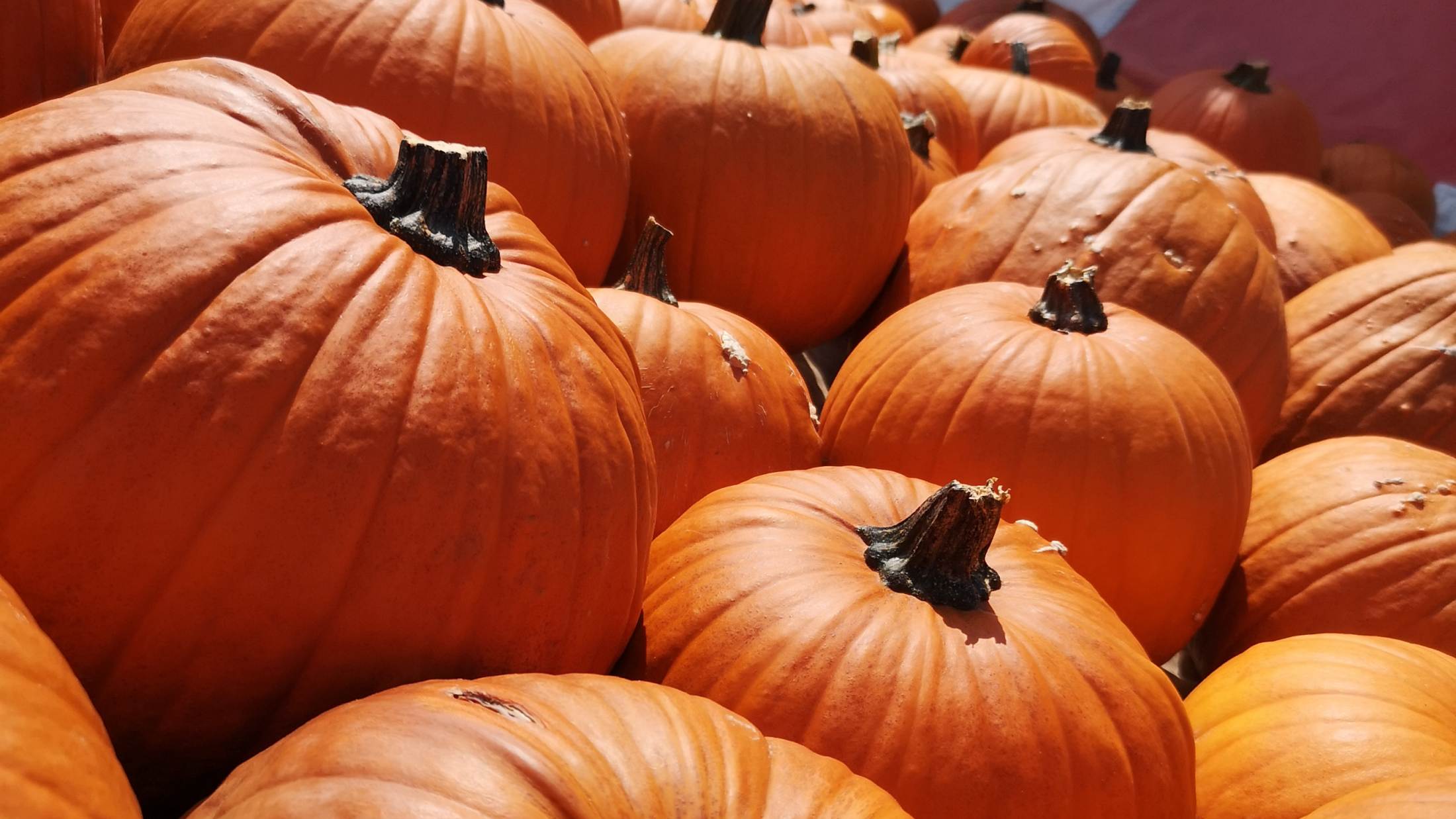 © Hofgut Obere Wanne Liestal