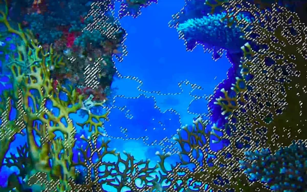 © image by Ellen King, Teresa Arega, Julia Lema Barros © image by Ellen King, Teresa Arega, Julia Lema Barros