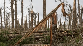 Batı ve Güney Almanya da Şiddetli Fırtına Etkili Oldu!, © shutterstock