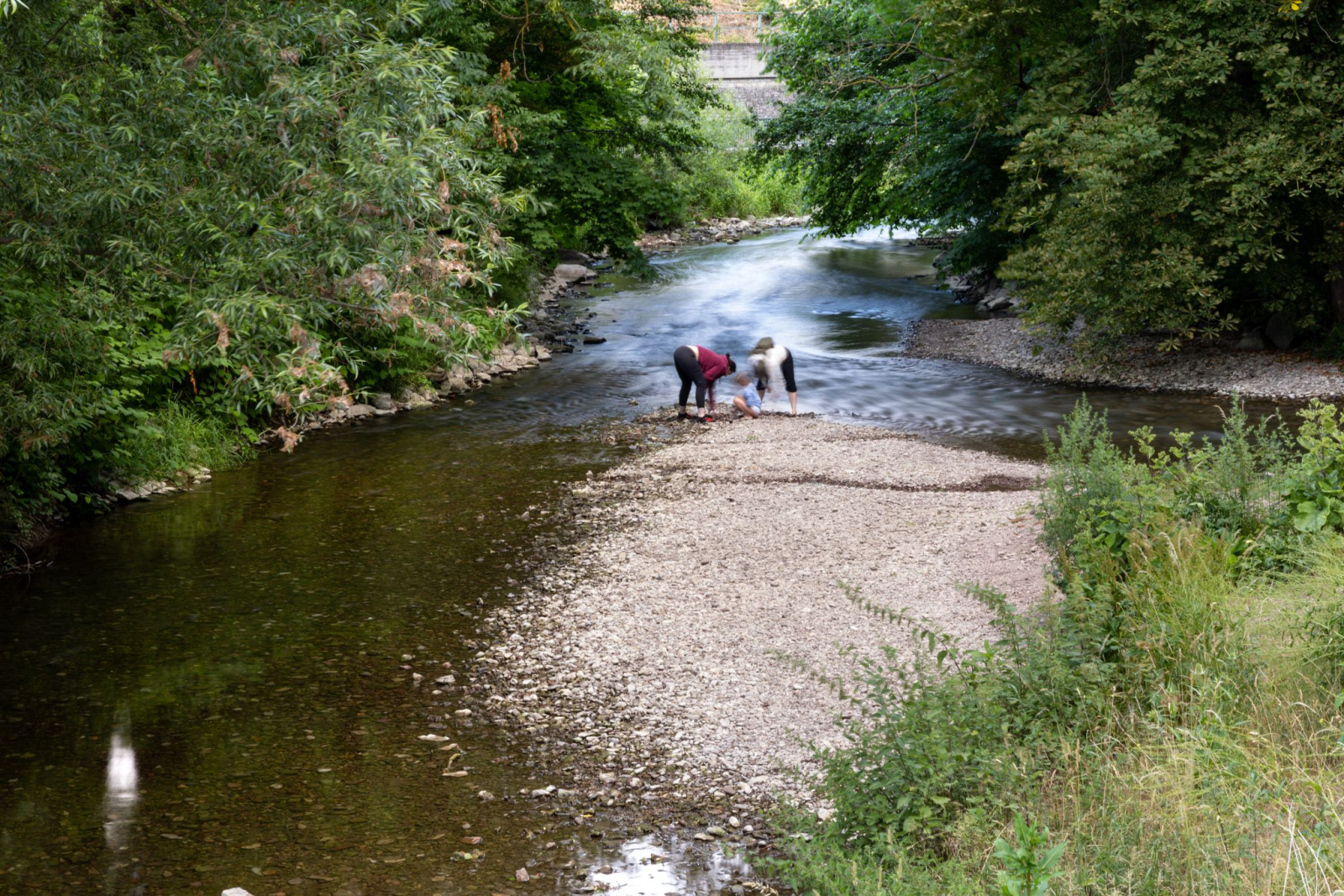 Zahlreiche Flüsse in Thüringen führen aktuell nur Niedrigwasser. (Archivbild), © Michael Reichel/dpa