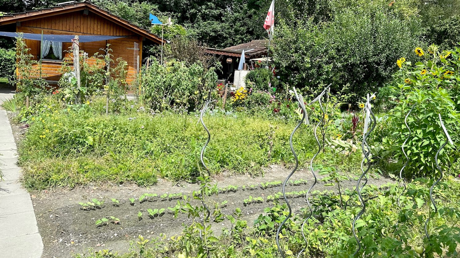 Keine Diebstähle in heimischen Schrebergärten, © Radio Liechtenstein