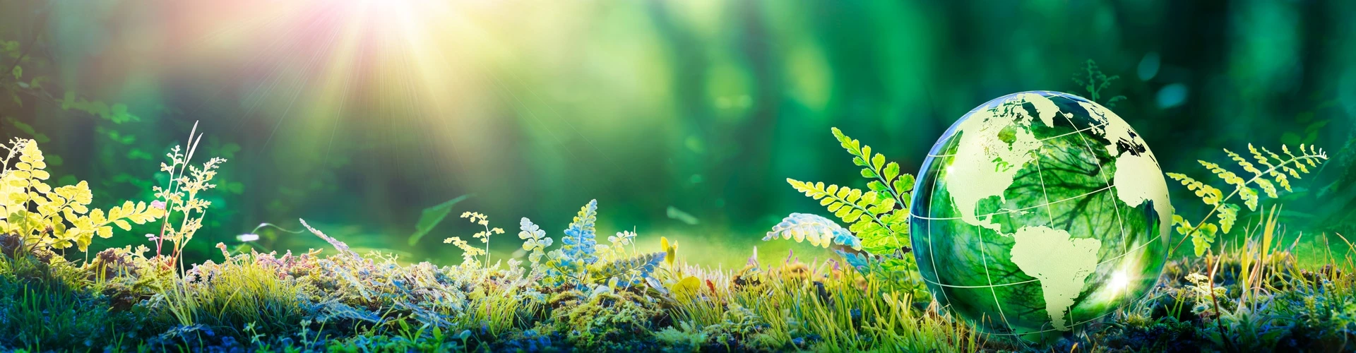 Gras, Kraut und eine Weltkugel, © Shutterstock Gras, Kraut und eine Weltkugel, © Shutterstock