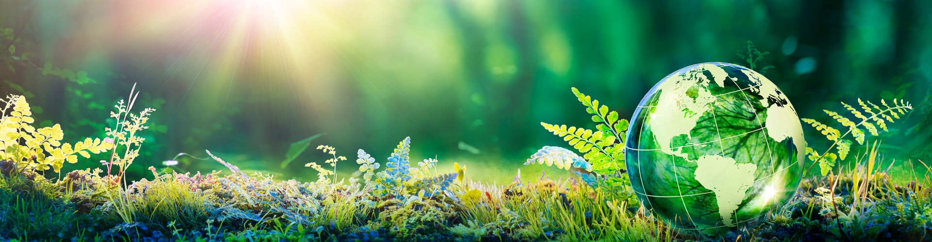 Gras, Kraut und eine Weltkugel, © Shutterstock