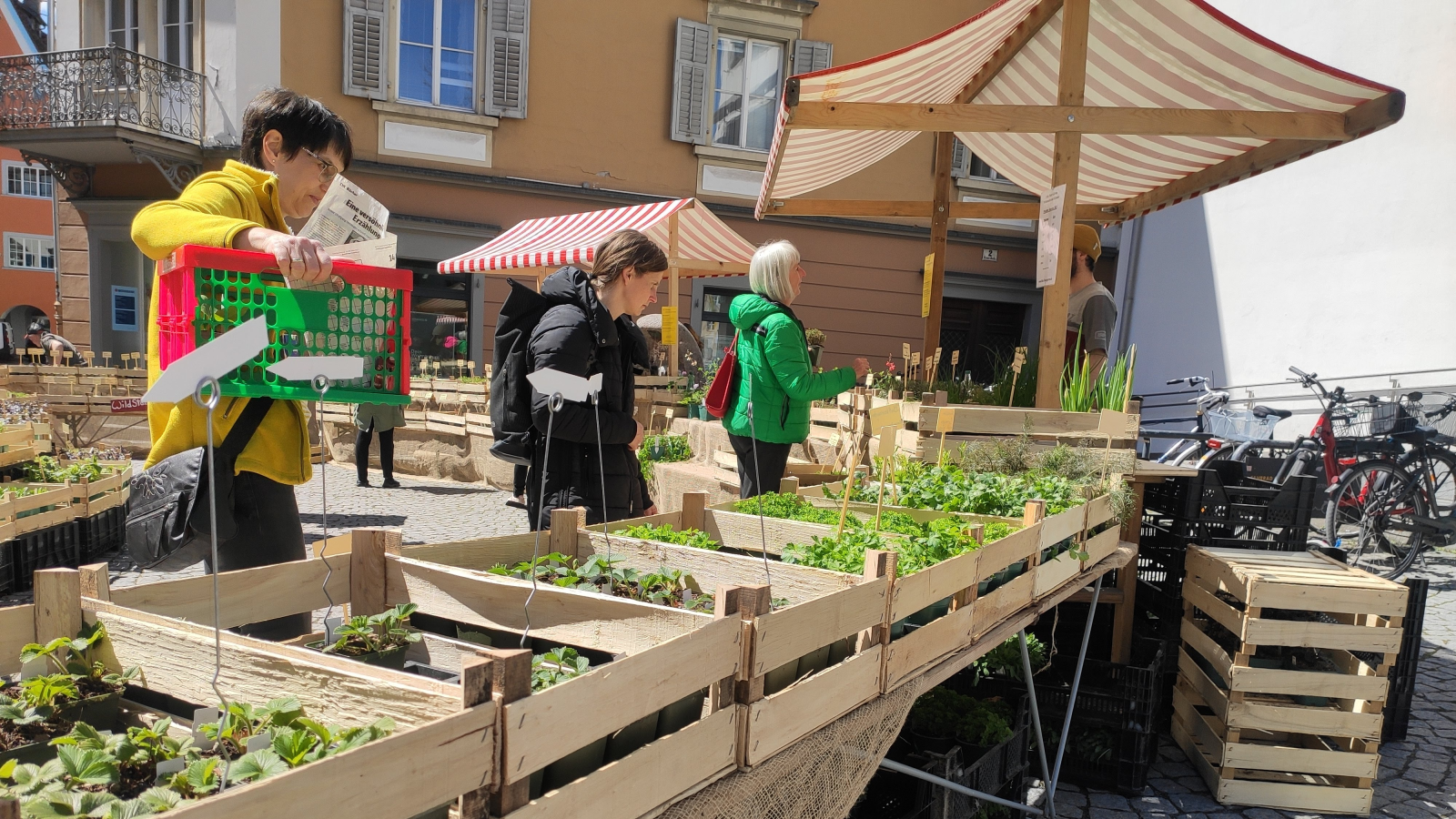 erdreich Setzlingsmarkt, © Stadtmarketin_Feldkirch