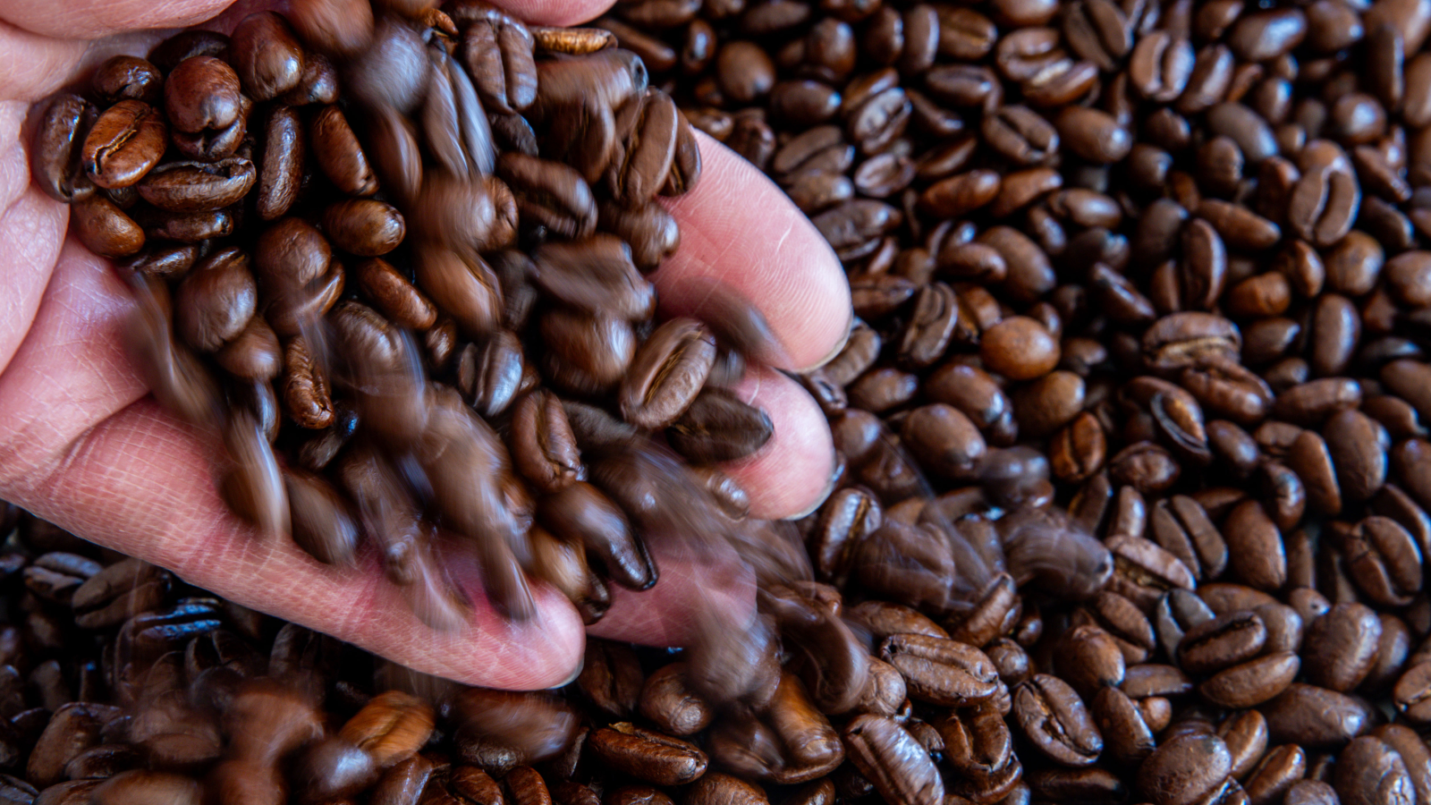 Almanya’da Kahve Fiyatları Uçtu: Artık Pahalı Bir Zevk!, © Jens Büttner/dpa