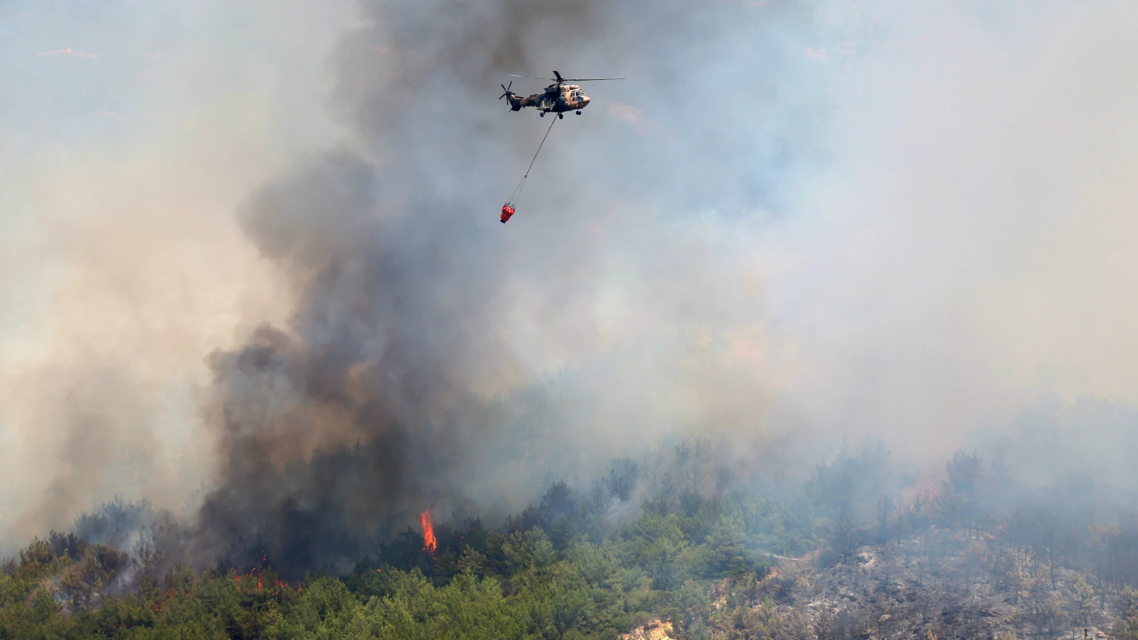 Çeşme’de Orman Yangını İkinci Gününde: 4 Mahalle Tahliye Edildi, Otoyol Kapatıldı!, © Cengiz Malgir/DIA Photo via AP/dpa Çeşme’de Orman Yangını İkinci Gününde: 4 Mahalle Tahliye Edildi, Otoyol Kapatıldı!, © Cengiz Malgir/DIA Photo via AP/dpa