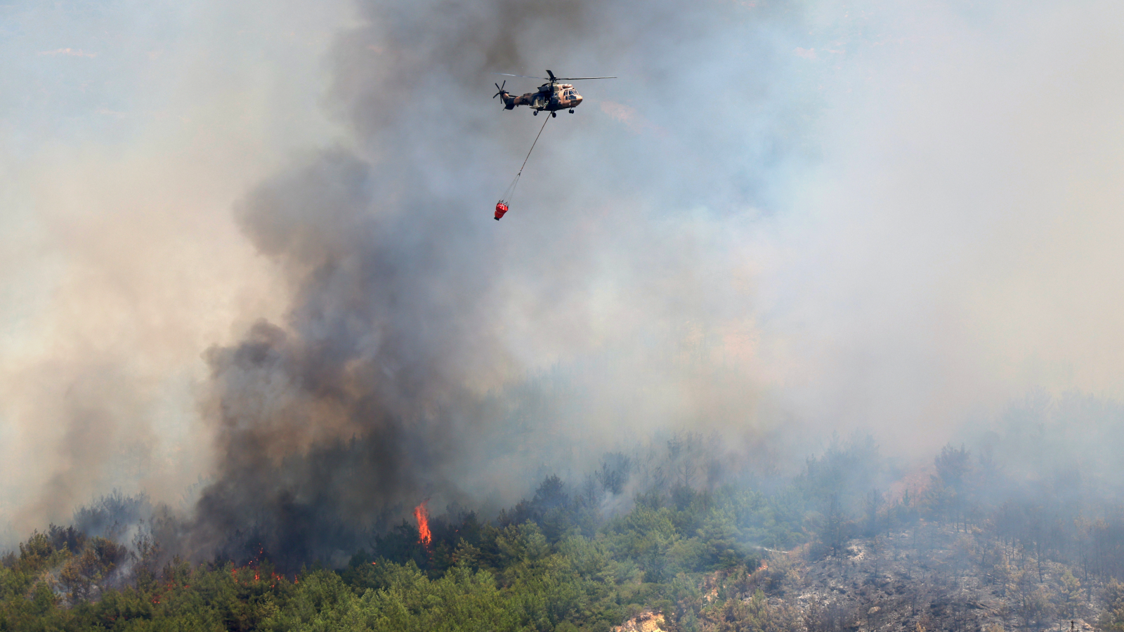 Çeşme’de Orman Yangını İkinci Gününde: 4 Mahalle Tahliye Edildi, Otoyol Kapatıldı!, © Cengiz Malgir/DIA Photo via AP/dpa