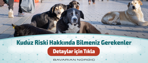 Kuduz Riski Hakkında Bilmeniz Gerekenler, © MFM