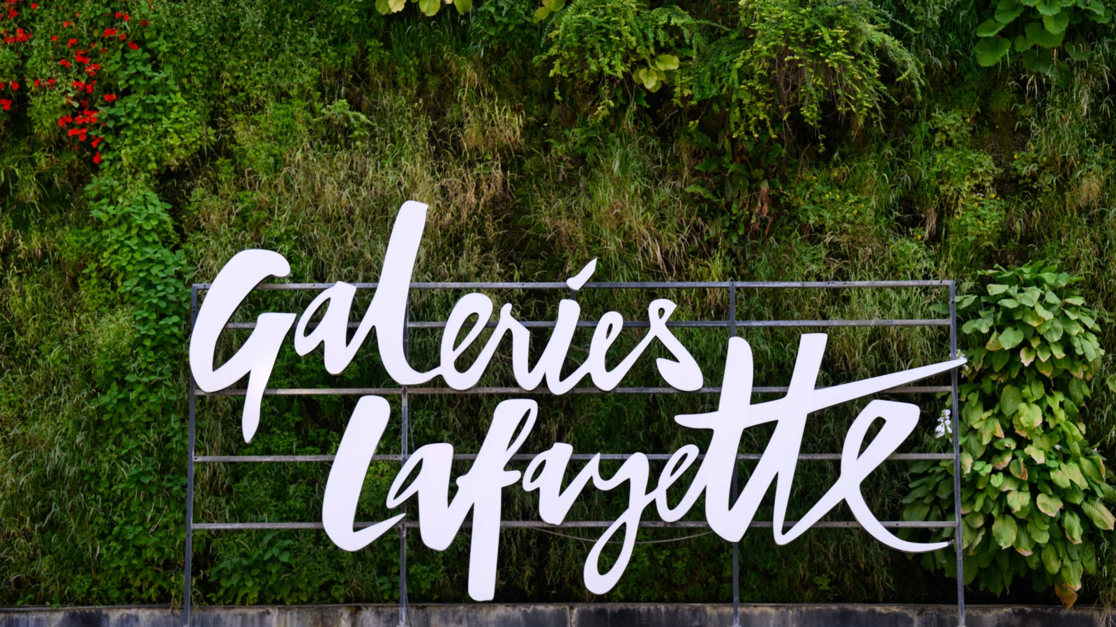 Galeries Lafayette Yarın Kapılarını Kapatıyor!, © dpa Galeries Lafayette Yarın Kapılarını Kapatıyor!, © dpa