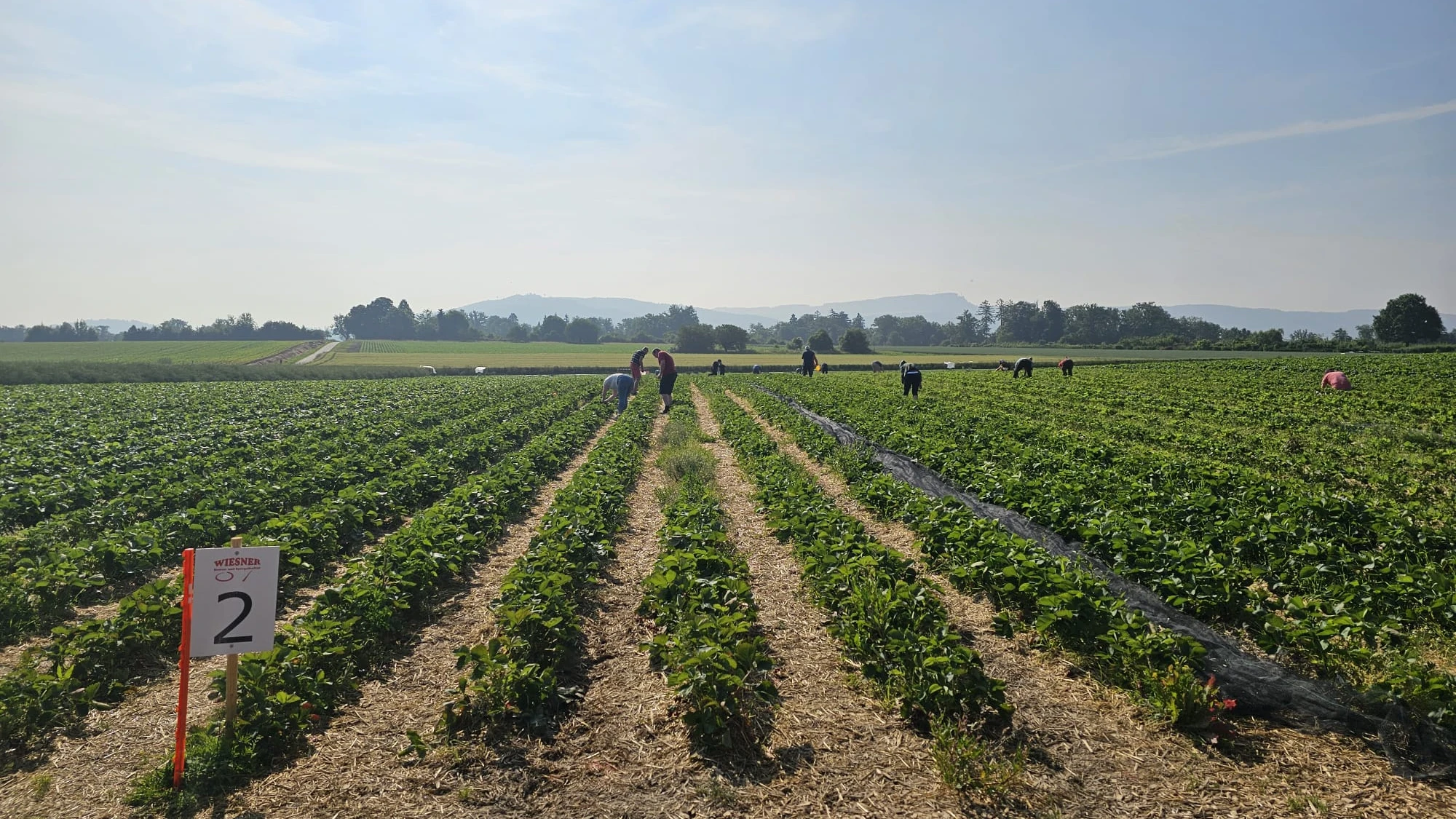 © Radio Basilisk © Radio Basilisk