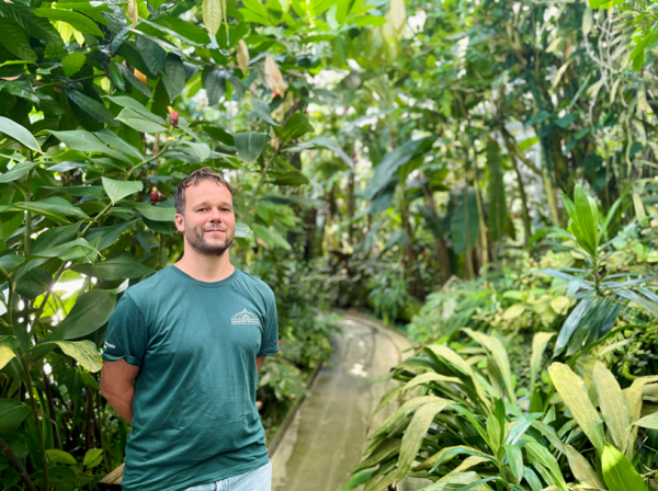 Basilisk zu Besuch im botanischen Garten