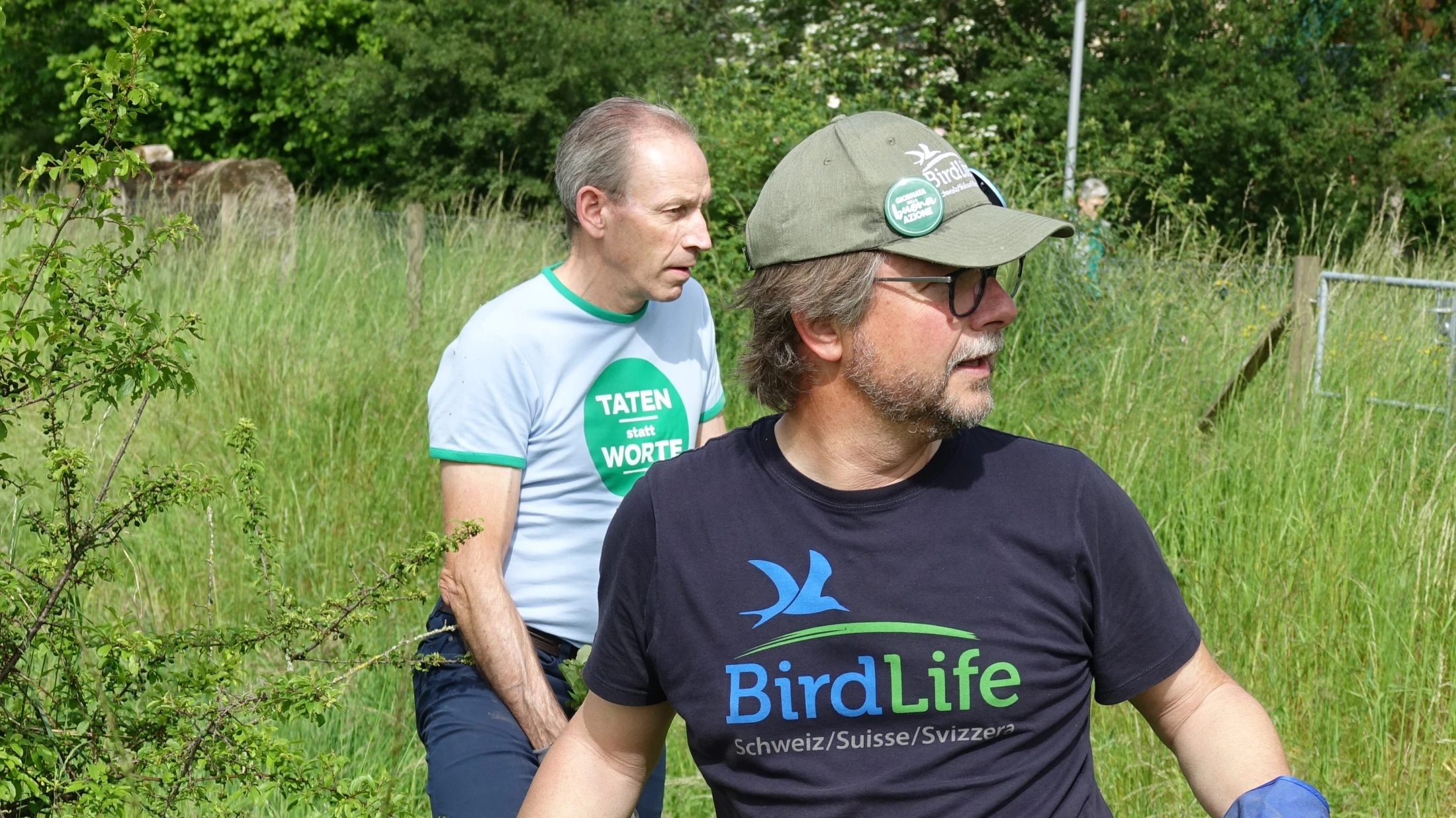 © © BirdLife Schweiz © © BirdLife Schweiz