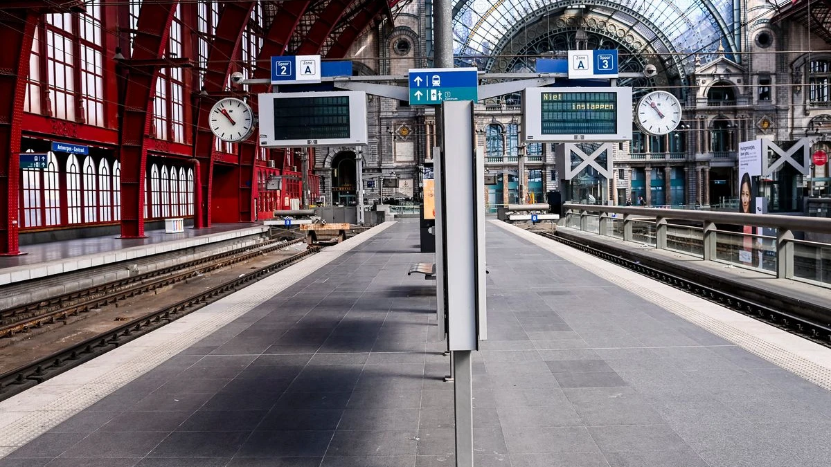 Ulaşım Grevleri Sona Erdi: Otobüs ve Tramvaylar Tekrar Hizmette, © dpa Ulaşım Grevleri Sona Erdi: Otobüs ve Tramvaylar Tekrar Hizmette, © dpa