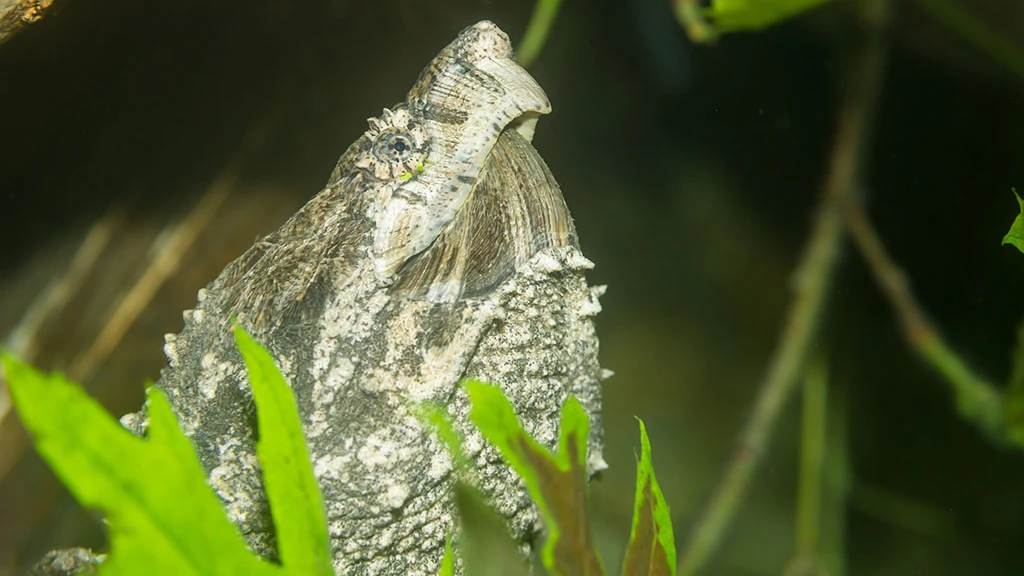 © Zoo Basel © Zoo Basel