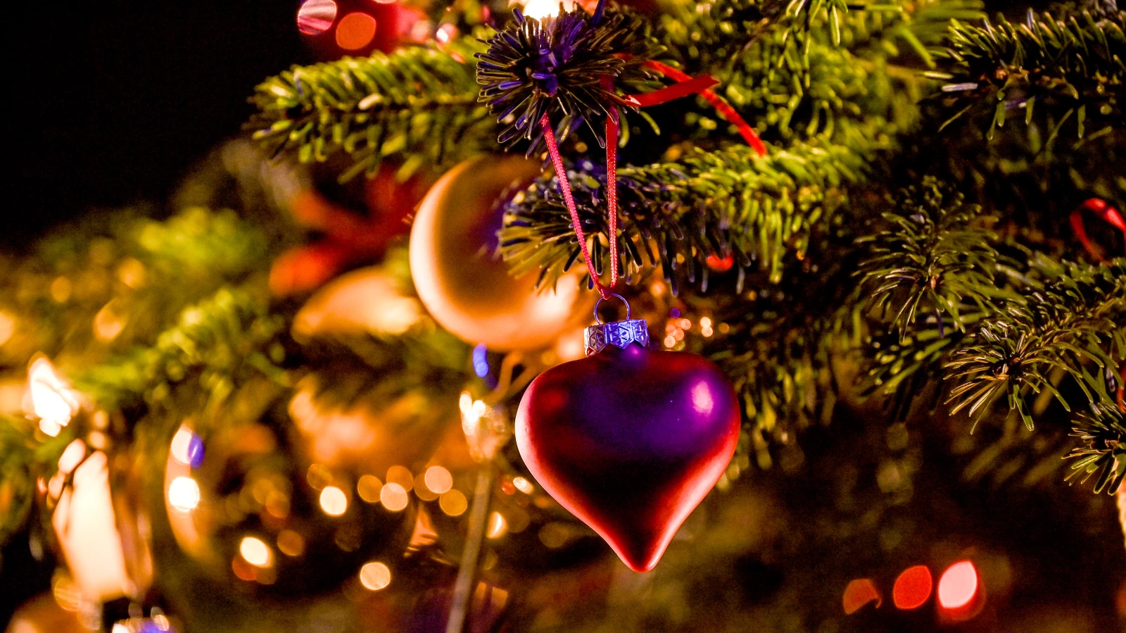 Cranger `Weihnachtsbaum 2025´ Özel Vinçle Kuruluyor , © Britta Pedersen/dpa-Zentralbild/ZB Cranger `Weihnachtsbaum 2025´ Özel Vinçle Kuruluyor , © Britta Pedersen/dpa-Zentralbild/ZB