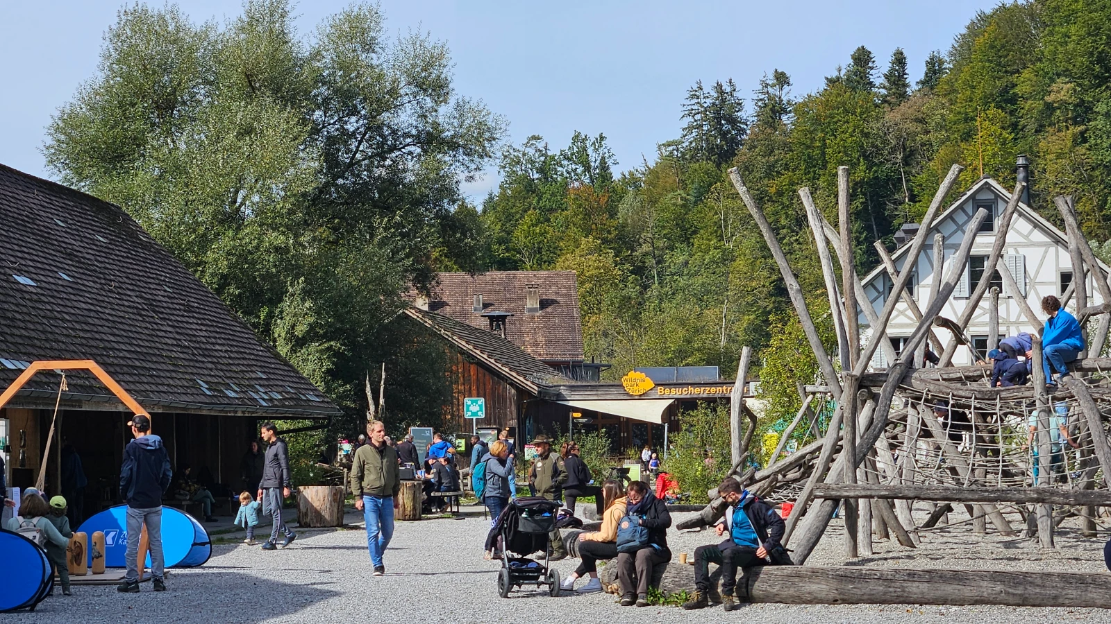 Radio Zürisee entdeckt – Wildnispark Zürich, © Annemarie Brennwald Radio Zürisee entdeckt – Wildnispark Zürich, © Annemarie Brennwald