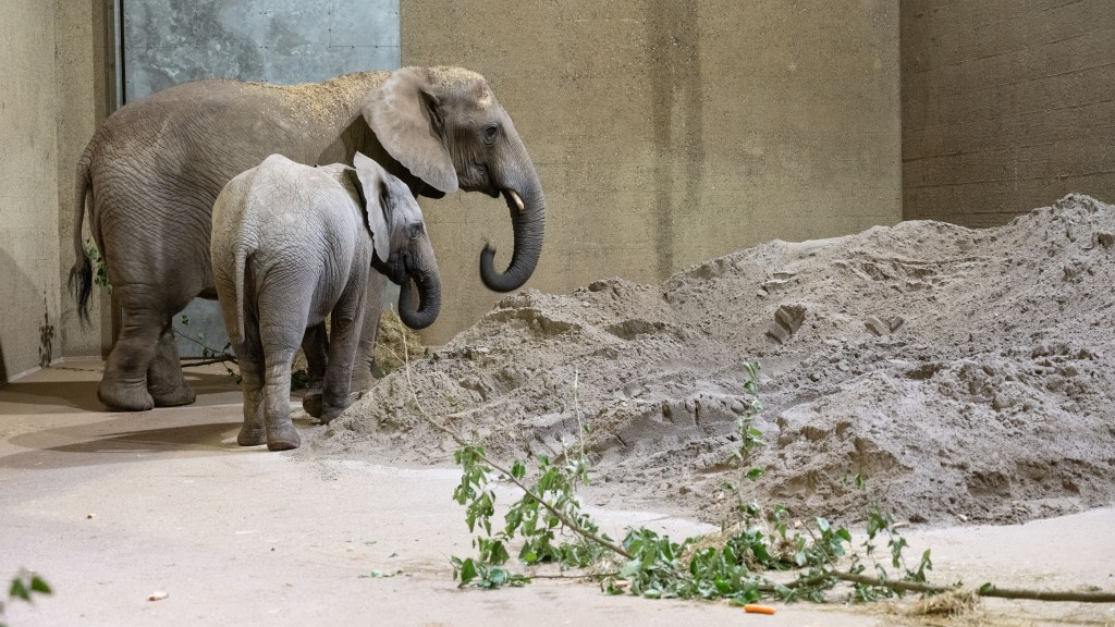 © Zoo Basel