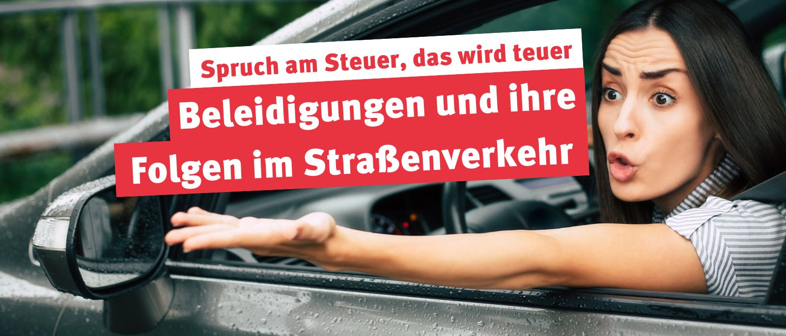Spruch am Steuer, das wird teuer Beleidigungen und ihre Folgen im
