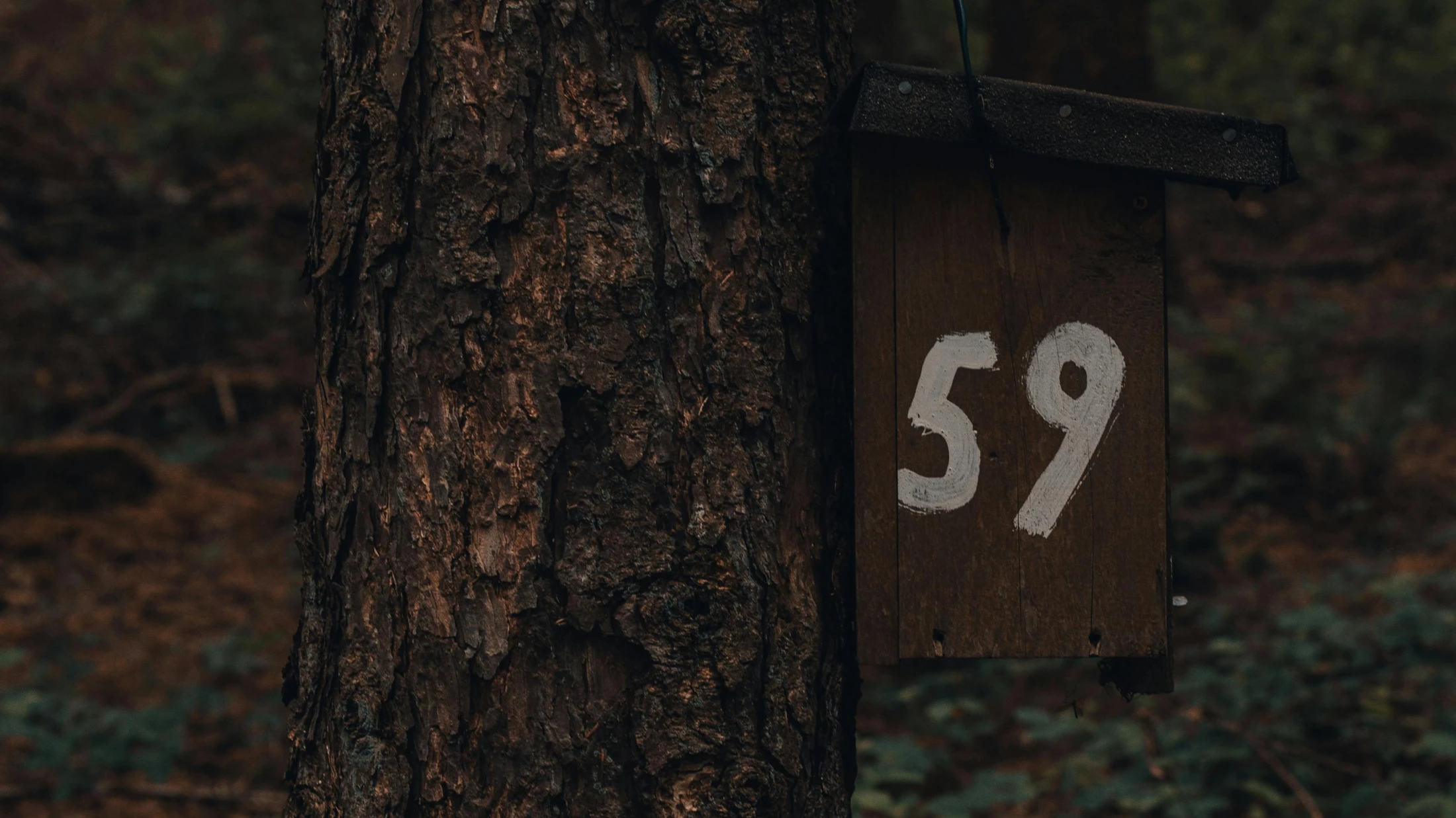 © Luca Dross © Luca Dross