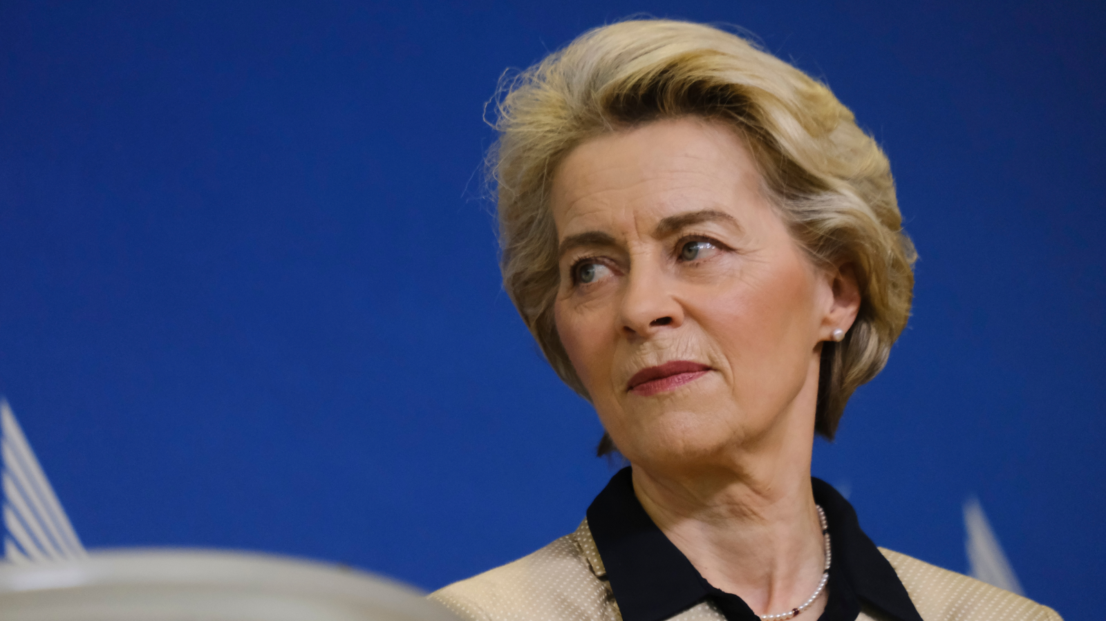 Avrupa Parlamentosu'nda Von der Leyen Protestosu, © shutterstock
