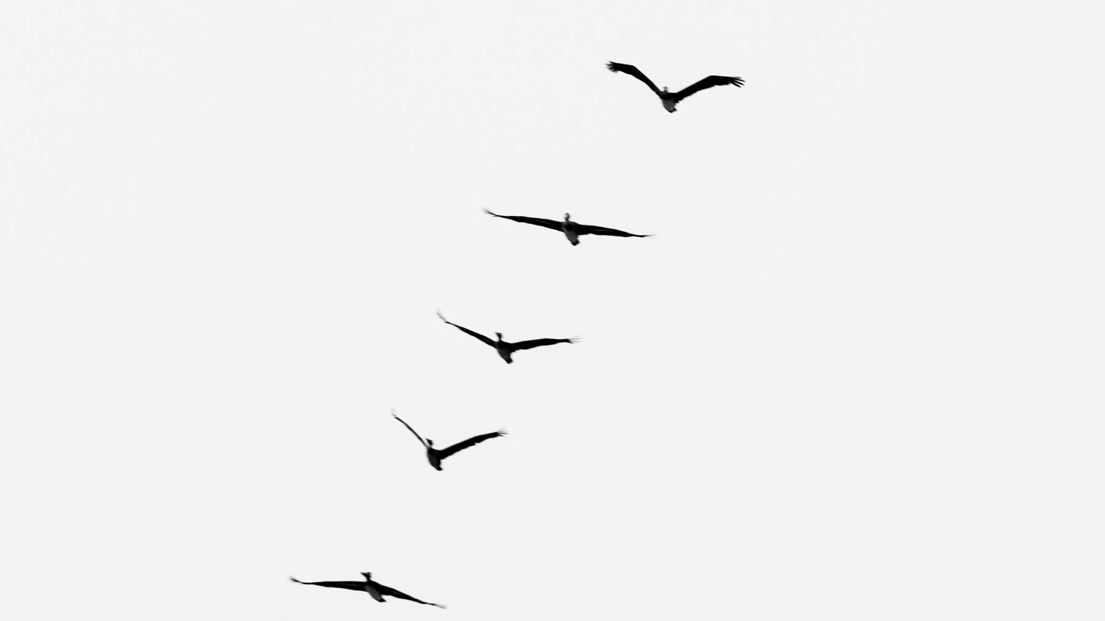 © Wendy Wei © Wendy Wei