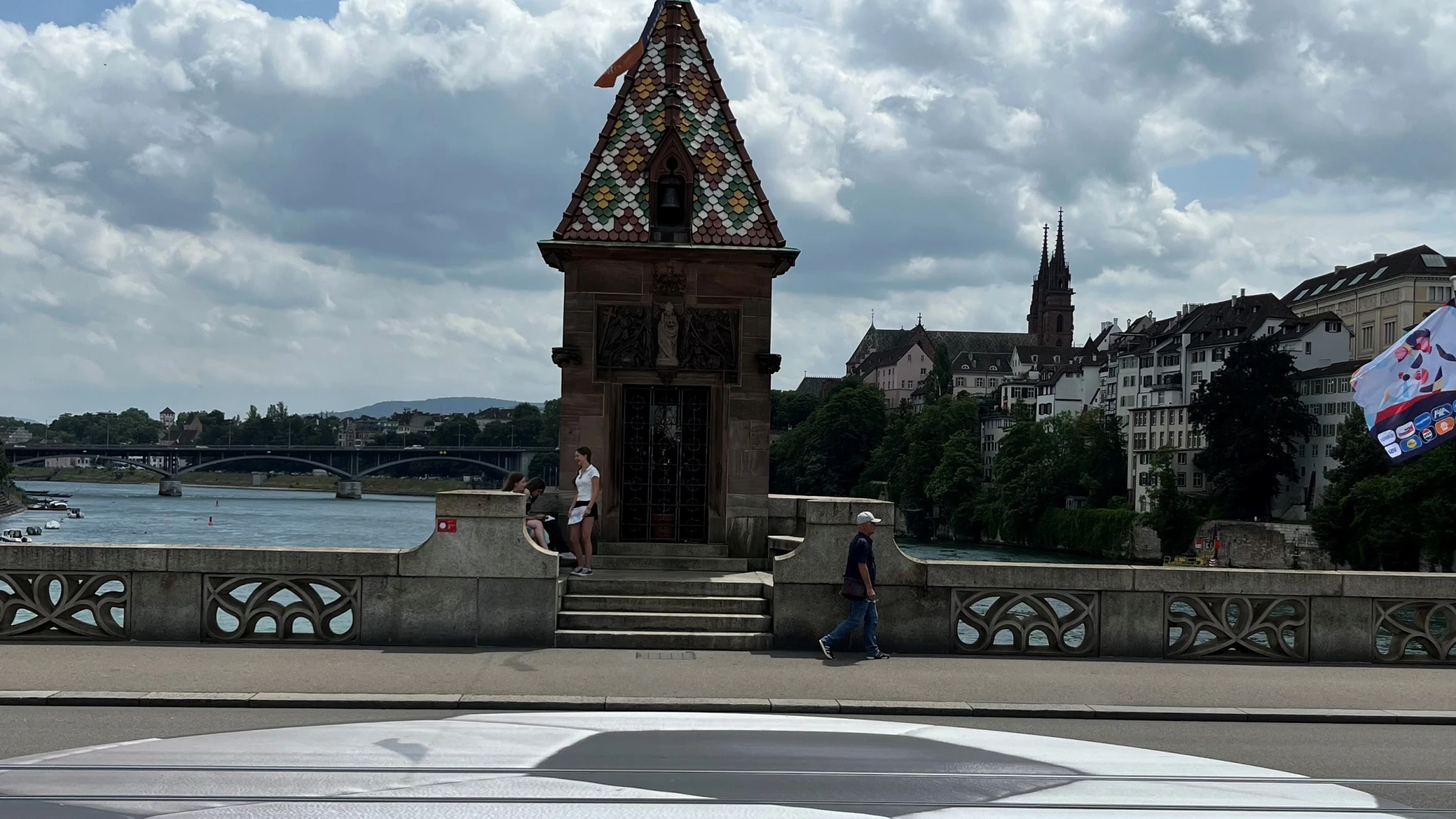 © basilisk © basilisk