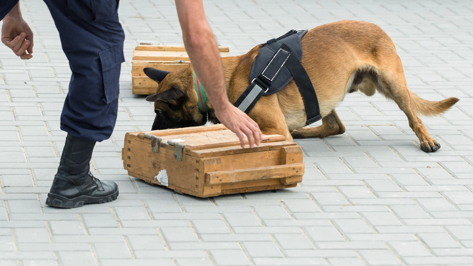 Shutterstock, © Shutterstock Shutterstock, © Shutterstock