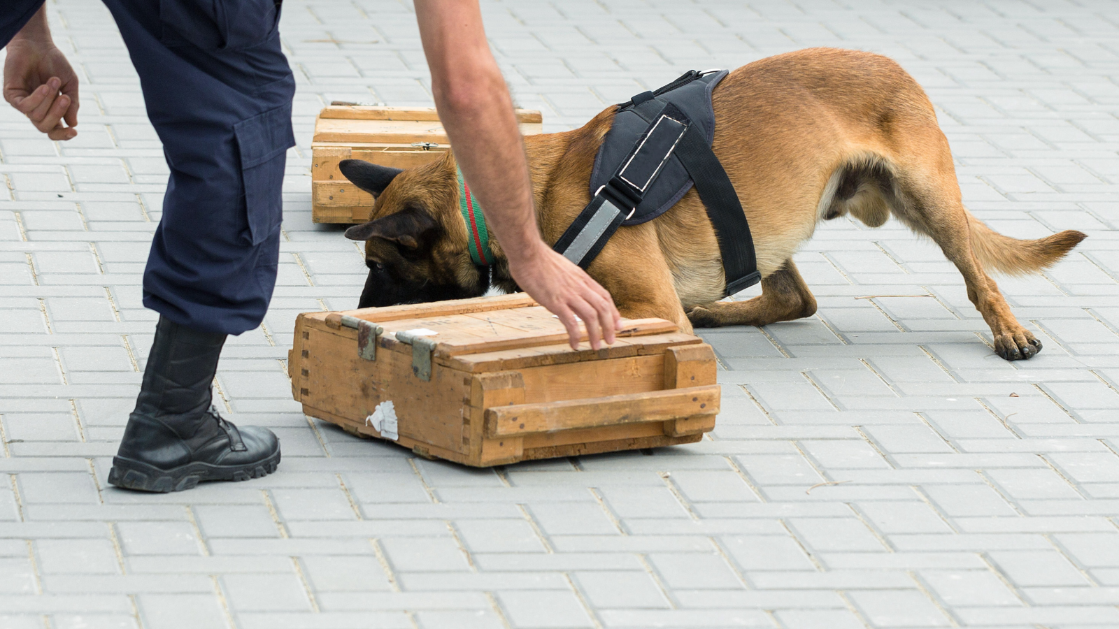 Shutterstock, © Shutterstock