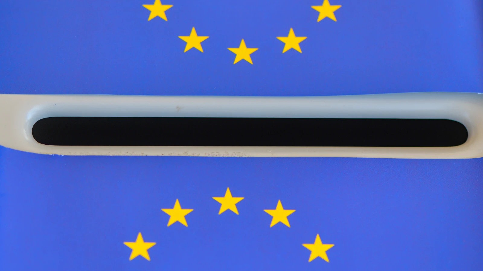 2024 Avrupa Seçimleri: Berlin'in ilçelerinde durum nasıl oldu?, © dpa 2024 Avrupa Seçimleri: Berlin'in ilçelerinde durum nasıl oldu?, © dpa